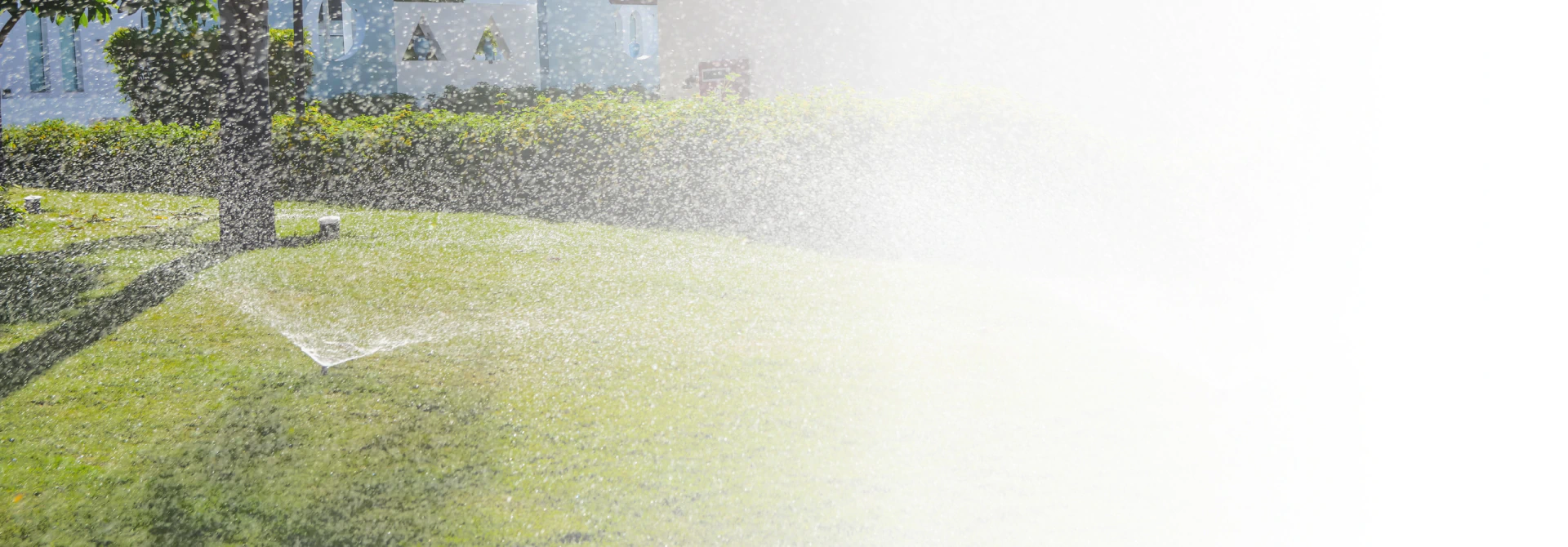 home image background edited opt